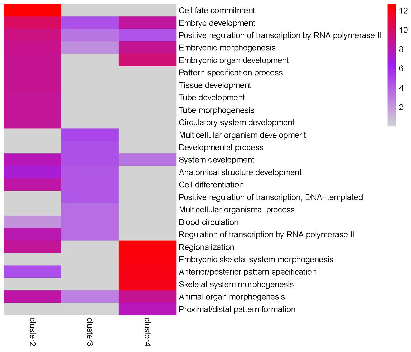 GO enrichment heatmap for 'Peak1' cluster
