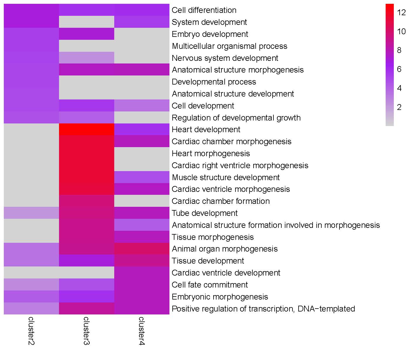 GO enrichment heatmap for 'Peak0' cluster