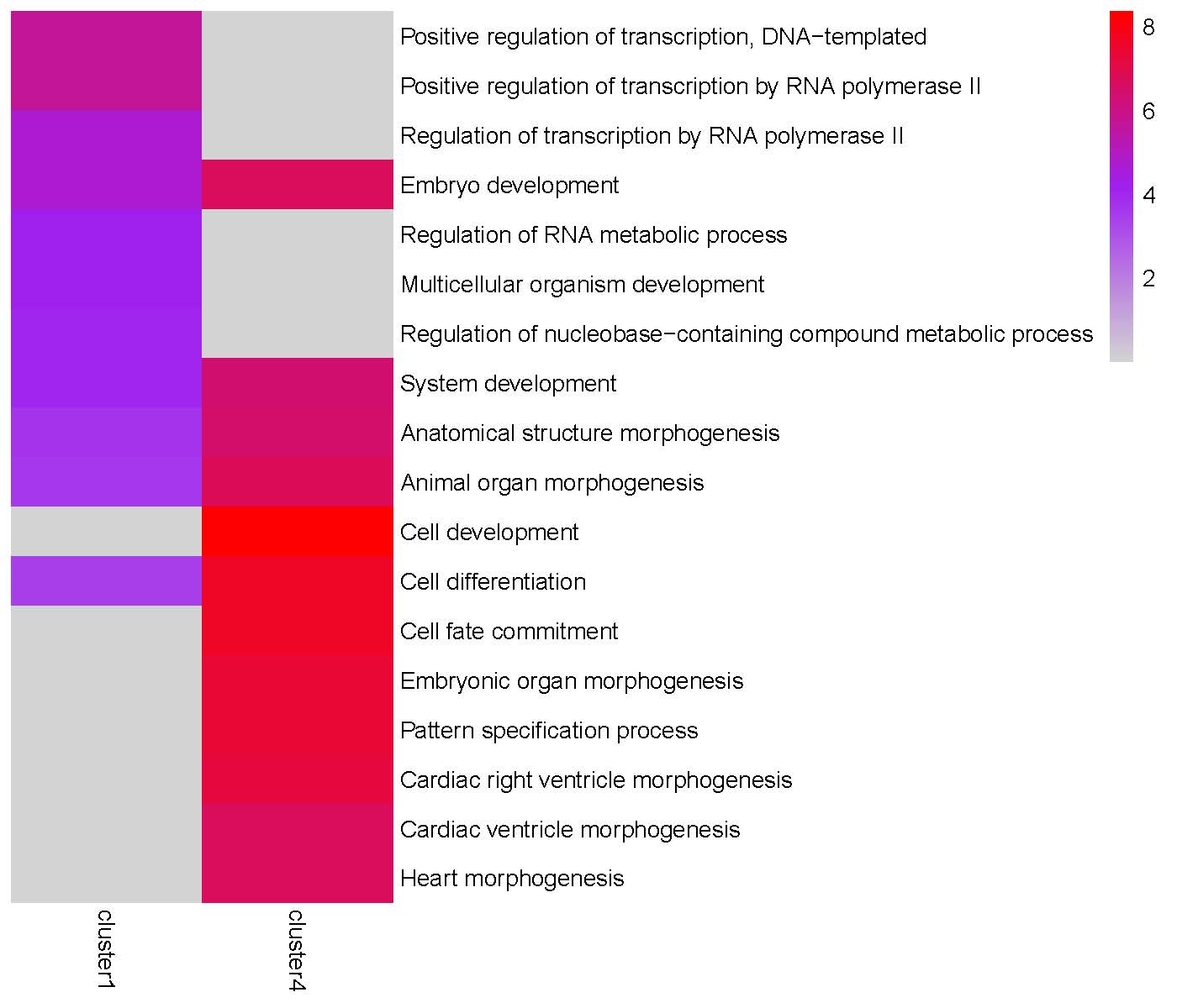 GO enrichment heatmap for 'Peak3' cluster